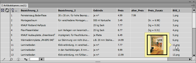 Ihre Daten in der EasyCatalog-Palette. Für die Bilder zeigt EasyCatalog eine kleine Vorschau.
